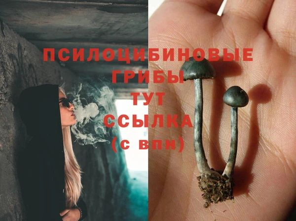 трава Абдулино