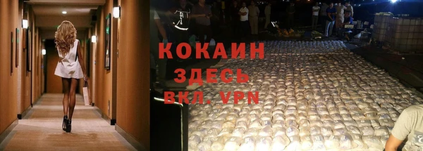 прущие крисы Абаза